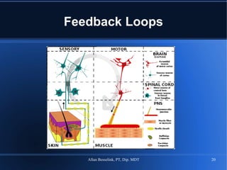 Feedback Loops 