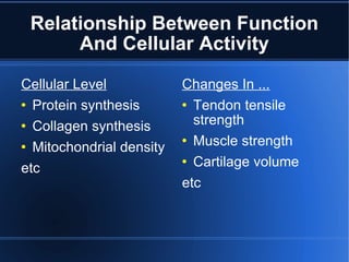 Relationship Between Function And Cellular Activity Cellular Level Protein synthesis Collagen synthesis Mitochondrial density etc Changes In ... Tendon tensile strength Muscle strength Cartilage volume etc 