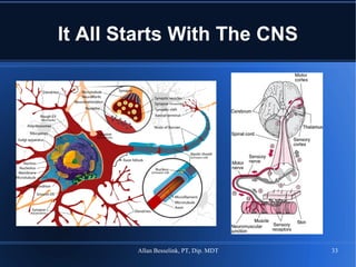 It All Starts With The CNS 