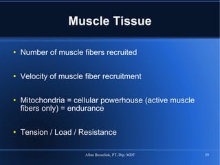 Muscle Tissue Number of muscle fibers recruited Velocity of muscle fiber recruitment Mitochondria = cellular powerhouse (active muscle fibers only) = endurance Tension / Load / Resistance 