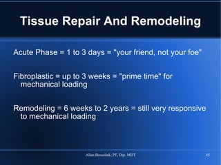 Tissue Repair And Remodeling Acute Phase = 1 to 3 days = "your friend, not your foe" Fibroplastic = up to 3 weeks = "prime time" for mechanical loading Remodeling = 6 weeks to 2 years = still very responsive to mechanical loading 