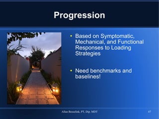 Progression Based on Symptomatic, Mechanical, and Functional Responses to Loading Strategies Need benchmarks and baselines! 