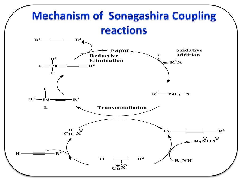 Mechanistic aspects of CC cross coupling reaction