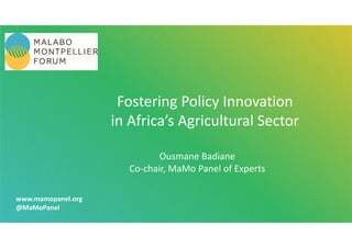 www.mamopanel.org
@MaMoPanel 
Fostering Policy Innovation 
in Africa’s Agricultural Sector 
Ousmane Badiane
Co‐chair, MaMo Panel of Experts
 