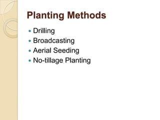 Planting Methods
Drilling
 Broadcasting
 Aerial Seeding
 No-tillage Planting


 