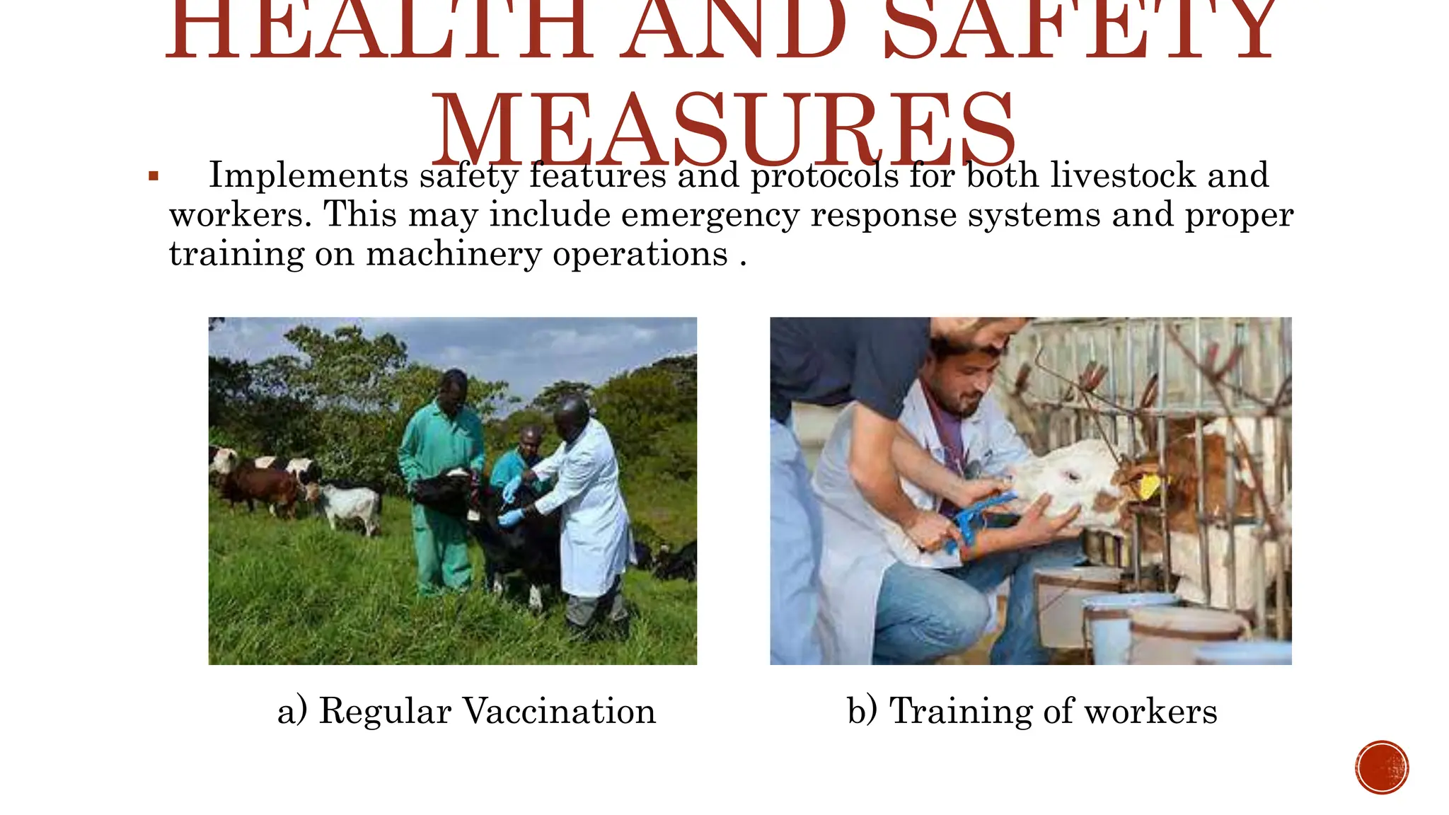 Mandatory Training for Livestock Workers on Laws and Disease Prevention - News Directory 3