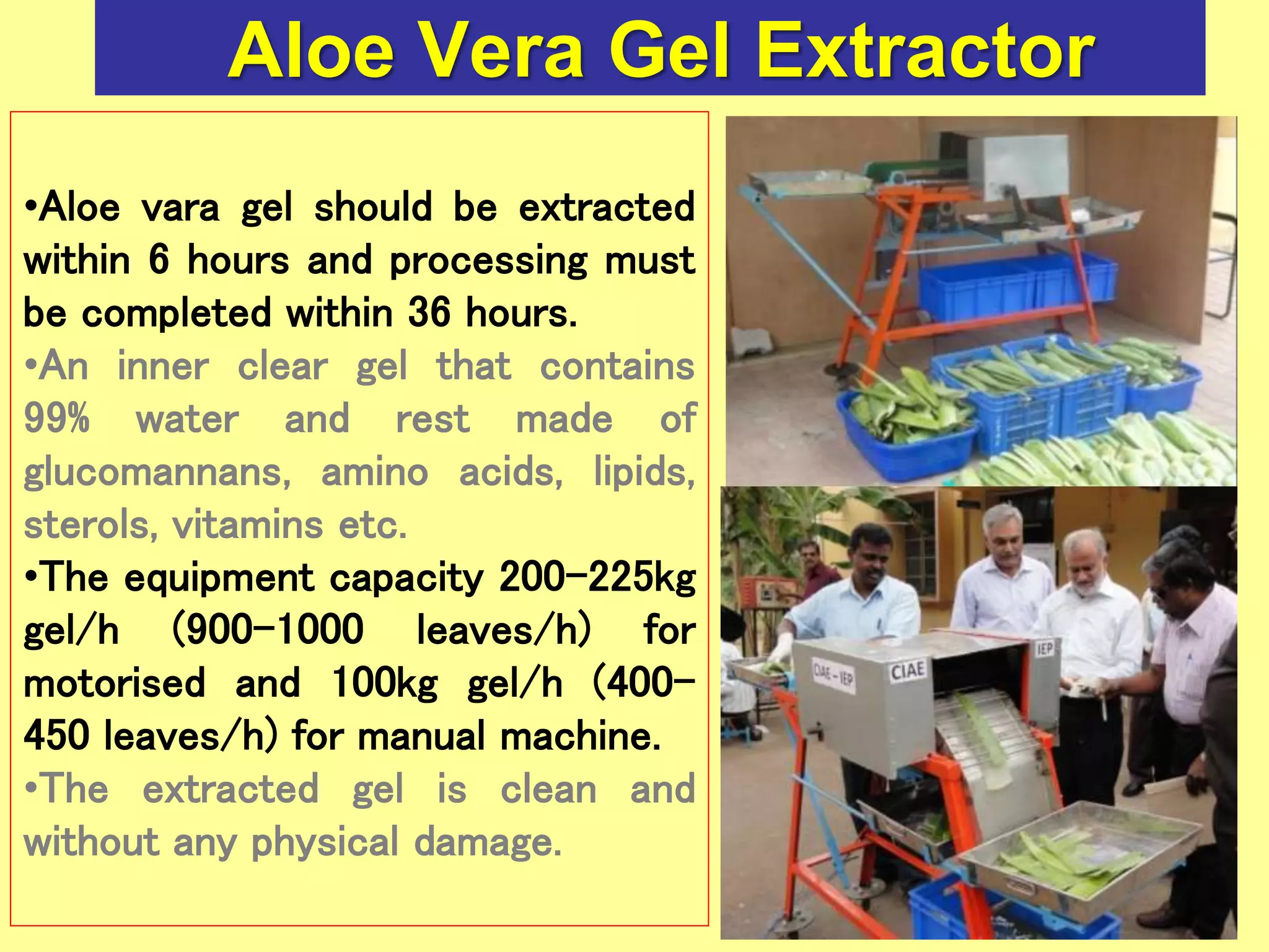 Aloe Vera Gel Extractor
•Aloe vara gel should be extracted
within 6 hours and processing must
be completed within 36 hours.
•An inner clear gel that contains
99% water and rest made of
glucomannans, amino acids, lipids,
sterols, vitamins etc.
•The equipment capacity 200-225kg
gel/h (900-1000 leaves/h) for
motorised and 100kg gel/h (400-
450 leaves/h) for manual machine.
•The extracted gel is clean and
without any physical damage.
 