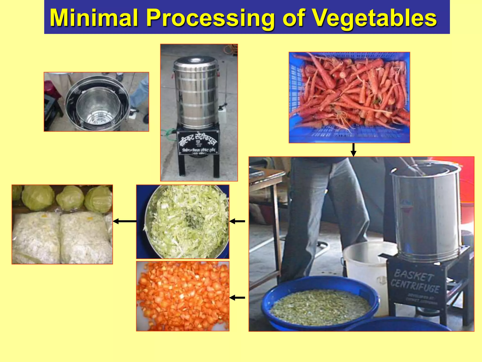 Minimal Processing of Vegetables
 