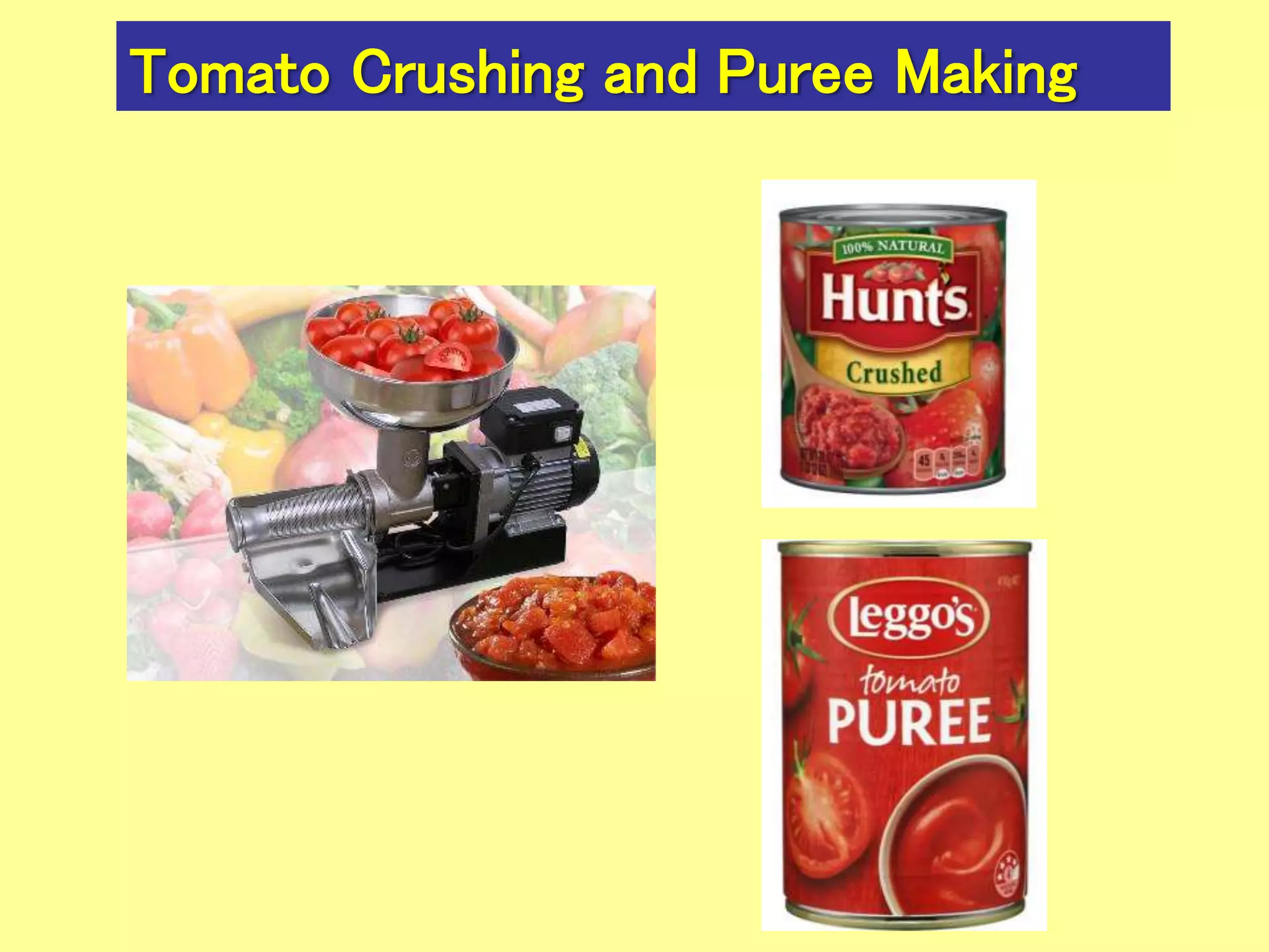 Tomato Crushing and Puree Making
 