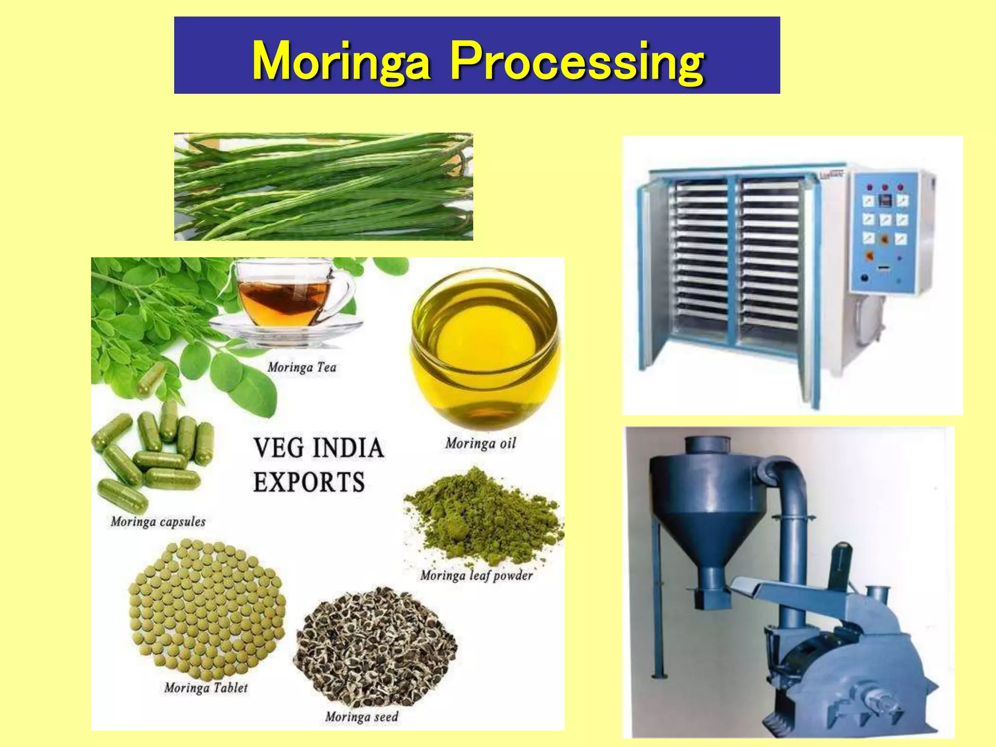 Moringa Processing
 