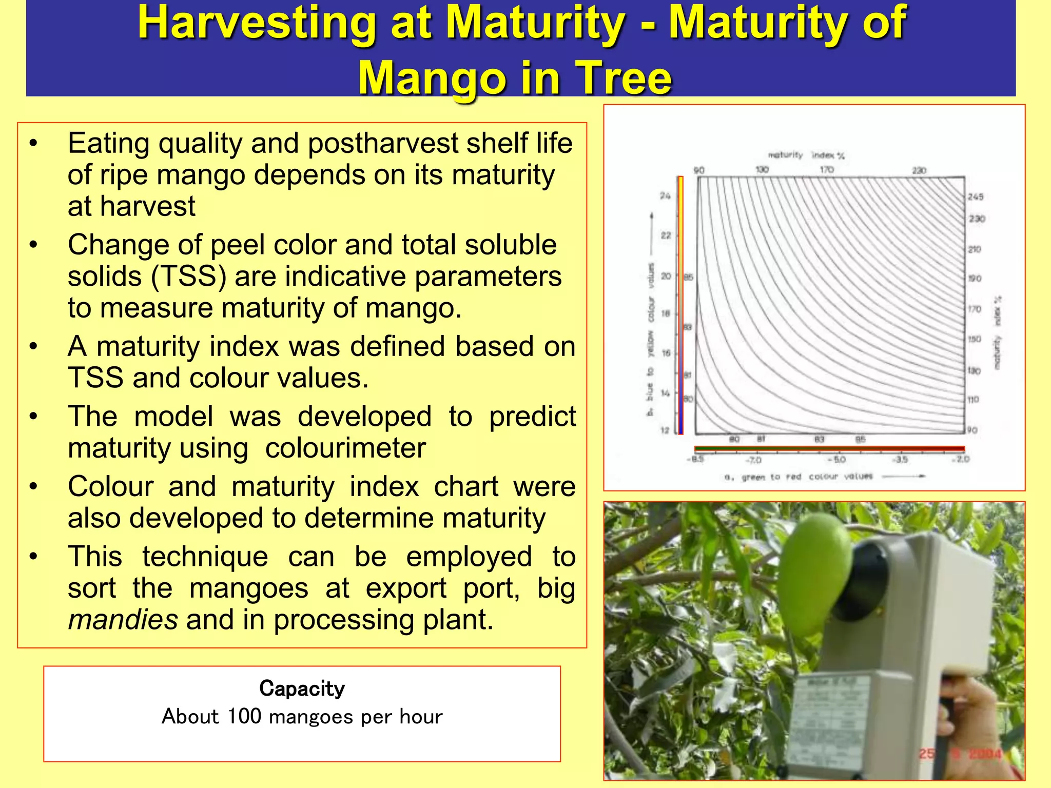 Harvesting at Maturity - Maturity of
Mango in Tree
• Eating quality and postharvest shelf life
of ripe mango depends on its maturity
at harvest
• Change of peel color and total soluble
solids (TSS) are indicative parameters
to measure maturity of mango.
• A maturity index was defined based on
TSS and colour values.
• The model was developed to predict
maturity using colourimeter
• Colour and maturity index chart were
also developed to determine maturity
• This technique can be employed to
sort the mangoes at export port, big
mandies and in processing plant.
Capacity
About 100 mangoes per hour
 