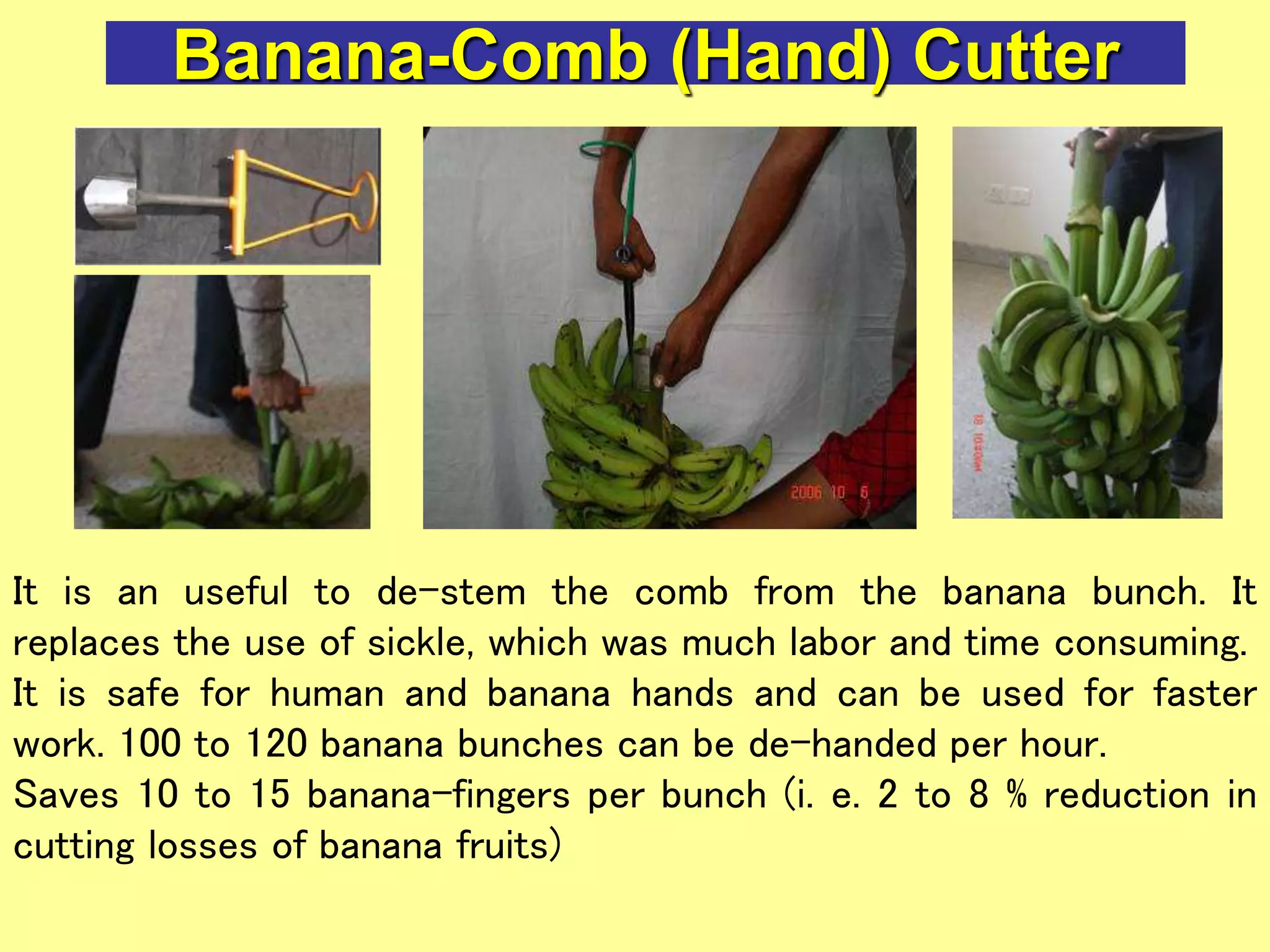 Banana-Comb (Hand) Cutter
It is an useful to de-stem the comb from the banana bunch. It
replaces the use of sickle, which was much labor and time consuming.
It is safe for human and banana hands and can be used for faster
work. 100 to 120 banana bunches can be de-handed per hour.
Saves 10 to 15 banana-fingers per bunch (i. e. 2 to 8 % reduction in
cutting losses of banana fruits)
 