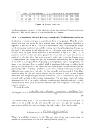 Thesis - Mechanizing optimization of warehouses by implementation of ...