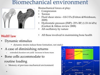 Mechanobiology of bone formation elena stavenschi, university of ...