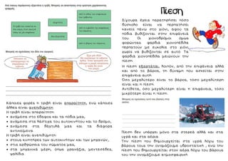 Πίεση
Κάποιες φορές η τριβή είναι απαραίτητη, ενώ κάποιες
άλλες είναι ανεπιθύμητη.
Η τριβή είναι απαραίτητη:
 ανάμεσα στο έδαφος και τα πόδια μας,
 ανάμεσα στα λάστιχα του αυτοκινήτου και το δρόμο,
 ανάμεσα στα δάχτυλά μας και τα διάφορα
αντικείμενα.
Η τριβή είναι ανεπιθύμητη:
 στους κινητήρες των αυτοκινήτων και των μηχανών,
 στις αρθρώσεις του σώματός μας,
 στα μηχανικά μέρη, όπως γρανάζια, μεντεσέδες,
ψαλίδια.
Σίγουρα έχεις παρατηρήσει πόσο
δύσκολο είναι να περπατήσει
κανείς πάνω στο χιόνι, αφού τα
πόδια βυθίζονται στην επιφάνειά
του. Οι χιονοδρόμοι όμως
φορώντας φαρδιά χιονοπέδιλα
περπατούν με ευκολία στο χιόνι
χωρίς να βυθίζονται σε αυτό. Τα
φαρδιά χιονοπέδιλα μειώνουν την
πίεση.
Η πίεση εξαρτάται, λοιπόν, από την επιφάνεια αλλά
και από το βάρος, τη δύναμη που ασκείται στην
επιφάνεια αυτή.
Όσο μεγαλύτερο είναι το βάρος, τόσο μεγαλύτερη
είναι και η πίεση.
Αντίθετα, όσο μεγαλύτερη είναι η επιφάνεια, τόσο
μικρότερη είναι η πίεση.
Πίεση δεν υπάρχει μόνο στα στερεά αλλά και στα
υγρά και στα αέρια.
Την πίεση που δημιουργείται στα υγρά λόγω του
βάρους τους την ονομάζουμε υδροστατική , ενώ την
πίεση που δημιουργείται στον αέρα λόγω του βάρους
του την ονομάζουμε ατμοσφαιρική.
 