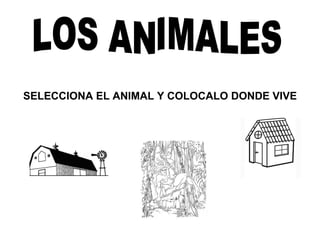 LOS ANIMALES SELECCIONA EL ANIMAL Y COLOCALO DONDE VIVE 