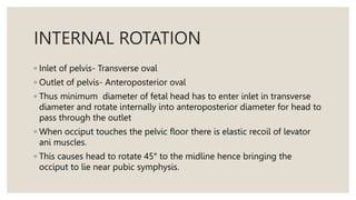 mech of labour final gynaecology presentation pptx | PPTX