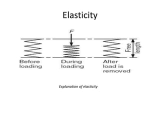 Elasticity
Explanation of elasticity
 