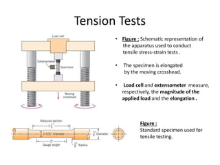 Tension Tests
• Figure : Schematic representation of
the apparatus used to conduct
tensile stress-strain tests .
• The specimen is elongated
by the moving crosshead.
• Load cell and extensometer measure,
respectively, the magnitude of the
applied load and the elongation .
Figure :
Standard specimen used for
tensile testing.
 