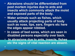 • Abrasions should be differentiated from 
post mortem injuries due to ants and 
insects which commonly attack the moist 
and exposed parts of the body. 
• Water animals such as fishes, which 
usually attack projecting parts of body 
such as nose, lips, ears, fingers etc here 
the edges appear nibbled. 
• In cases of bed sores, which are seen in 
disabled persons especially over back. 
• In abrasions due to ants, insects, fishes 
etc the signs of vital reaction are absent. 
• 
 