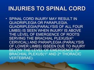 IINNJJUURRIIEESS TTOO SSPPIINNAALL CCOORRDD 
• SPINAL CORD INJURY MAY RESULT IN 
QUADRIPLEGIA OR PARAPLEGIA. 
QUADRIPLEGIA(PARALYSIS OF ALL FOUR 
LIMBS) IS SEEN WHEN INJURY IS ABOVE 
THE LEVEL OF EMERGENCE OF ROOTS 
SERVING THE BRACHIAL PLEXUS(4TH 
CERVICAL) AND PARAPLEGIA (PARALYSIS 
OF LOWER LIMBS) ISSEEN DUE TO INJURY 
BELOW THE LEVEL OF EMERGENCE OF 
BRACHIAL PLEXUS(1ST AND 2ND THORACIC 
VERTEBRAE). 
 
