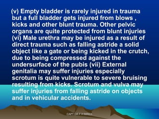 (v) Empty bladder is rarely injured in trauma 
but a full bladder gets injured from blows , 
kicks and other blunt trauma. Other pelvic 
organs are quite protected from blunt injuries 
(vi) Male urethra may be injured as a result of 
direct trauma such as falling astride a solid 
object like a gate or being kicked in the crutch, 
due to being compressed against the 
undersurface of the pubis (vii) External 
genitalia may suffer injuries especially 
scrotum is quite vulnerable to severe bruising 
resulting from kicks. Scrotum and vulva may 
suffer injuries from falling astride on objects 
and in vehicular accidents. 
CCAAPPTT DDRR FF HH MMIIRRZZAA 
 