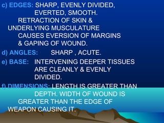 c) EDGES: SHARP, EVENLY DIVIDED, 
EVERTED, SMOOTH. 
RETRACTION OF SKIN & 
UNDERLYING MUSCULATURE 
CAUSES EVERSION OF MARGINS 
& GAPING OF WOUND. 
d) ANGLES: SHARP , ACUTE. 
e) BASE: INTERVENING DEEPER TISSUES 
ARE CLEANLY & EVENLY 
DIVIDED. 
f) DIMENSIONS: LENGTH IS GREATER THAN 
DEPTH. WIDTH OF WOUND IS 
GREATER THAN THE EDGE OF 
WEAPON CAUSING IT. 
 