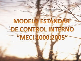 MODELO ESTÁNDAR  DE CONTROL INTERNO “MECI 1000:2005” 