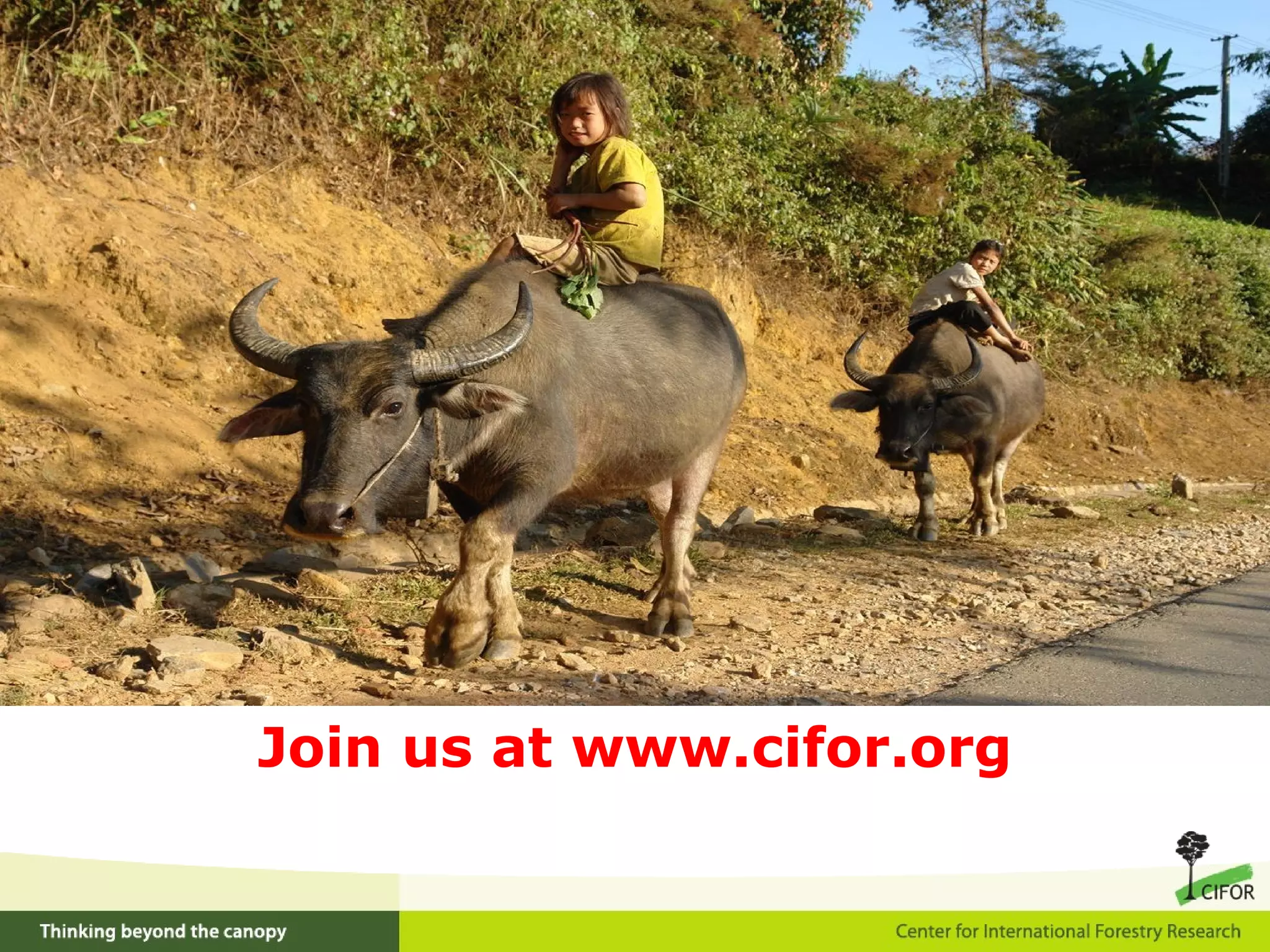 Join us at www.cifor.org
 