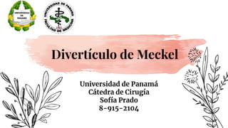 Universidad de Panamá
Cátedra de Cirugía
Sofía Prado
8-915-2104
Divertículo de Meckel
 