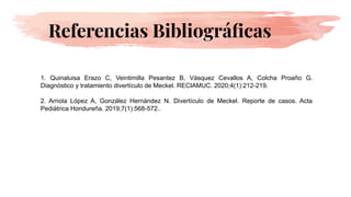 1. Quinaluisa Erazo C, Veintimilla Pesantez B, Vásquez Cevallos A, Colcha Proaño G.
Diagnóstico y tratamiento divertículo de Meckel. RECIAMUC. 2020;4(1):212-219.
2. Arriola López A, González Hernández N. Divertículo de Meckel. Reporte de casos. Acta
Pediátrica Hondureña. 2019;7(1):568-572..
Referencias Bibliográﬁcas
 