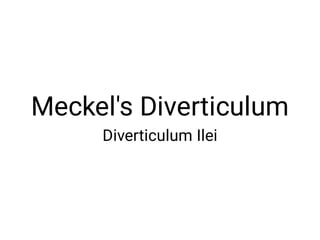 Meckel's Diverticulum
Diverticulum Ilei
 