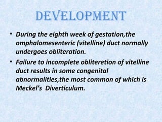 DEVELOPMENT
• During the eighth week of gestation,the
omphalomesenteric (vitelline) duct normally
undergoes obliteration.
• Failure to incomplete obliteretion of vitelline
duct results in some congenital
abnormalities,the most common of which is
Meckel’s Diverticulum.
 