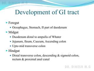 Development of GI tract
 Foregut
 Oesophagus, Stomach, II part of duodenum
 Midgut
 Duodenum distal to ampulla of Whater
 Jejunum, Ileum, Caecum, Ascending colon
 Upto mid transverse colon
 Hindgut
 Distal transverse colon, descending & sigmoid colon,
rectum & proximal anal canal
 
