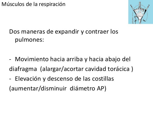 El aumento de los miembros la operación