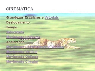 CINEMÁTICA
Vetoriais
Velocidade
Movimento Uniforme
Movimento Uniformemente Variado
Movimento Vertical
Movimento Oblíquo
Movimento Circular
 