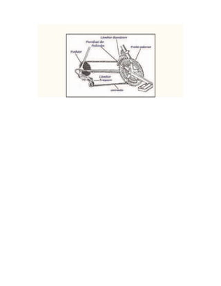 Mecânica avançada da bicicleta