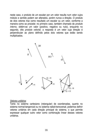 neste caso, o produto de um escalar por um vetor resulta num vetor cujos
módulo e sentido podem ser alterados, porém nunca a direção. O produto
de dois vetores traz como resultado um escalar ou um vetor, conforme a
maneira como se procede: no primeiro caso, também chamado de produto
interno, obtém-se um valor (positivo, negativo ou nulo), enquanto no
segundo, dito produto vetorial, a resposta é um vetor cuja direção é
perpendicular ao plano definido pelos dois vetores que estão sendo
multiplicados.




Vetores unitários
Tanto no sistema cartesiano (retangular) de coordenadas, quanto no
sistema normal-tangencial ou no sistema radial-transversal, podemos definir
vetores unitários em cada direção principal do sistema, o que permite
expressar qualquer outro vetor como combinação linear desses vetores
unitários.




                                   18
 