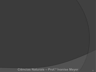 Ciências Naturais – Prof.ª Ivanise Meyer 20
 
