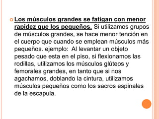  Los  músculos grandes se fatigan con menor
 rapidez que los pequeños. Si utilizamos grupos
 de músculos grandes, se hace menor tención en
 el cuerpo que cuando se emplean músculos más
 pequeños. ejemplo: Al levantar un objeto
 pesado que esta en el piso, si flexionamos las
 rodillas, utilizamos los músculos glúteos y
 femorales grandes, en tanto que si nos
 agachamos, doblando la cintura, utilizamos
 músculos pequeños como los sacros espinales
 de la escapula.
 