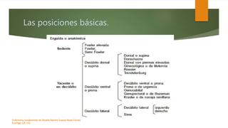 Las posiciones básicas.
Enfermeria, fundamentos de-Rosales Barrera Susana-Reyes Gómez
Eva.Págs 125-152.
 