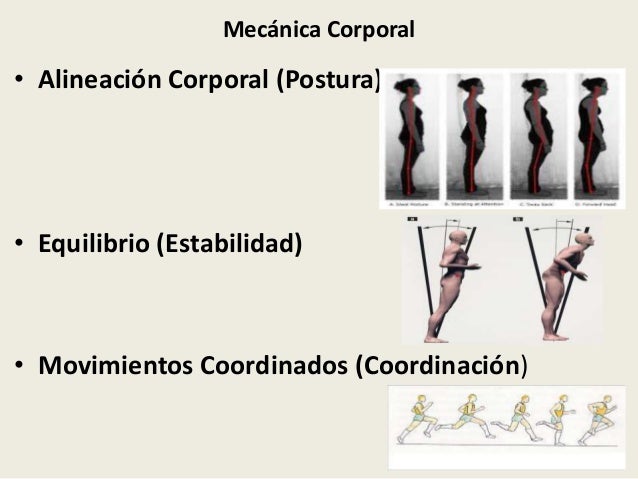 Definicion De Mecanica Corporal Segun La Oms
