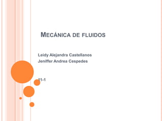 MECÁNICA DE FLUIDOS
Leidy Alejandra Castellanos
Jeniffer Andrea Cespedes
11-1
 
