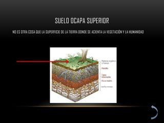 SUELO OCAPA SUPERIOR
NO ES OTRA COSA QUE LA SUPERFICIE DE LA TIERRA DONDE SE ACIENTA LA VEGETACIÓN Y LA HUMANIDAD
 