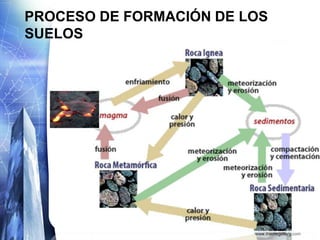 Trabajos Investigativos y Exposiciones