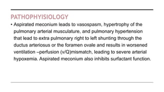 PATHOPHYISIOLOGY
• Aspirated meconium leads to vasospasm, hypertrophy of the
pulmonary arterial musculature, and pulmonary hypertension
that lead to extra pulmonary right to left shunting through the
ductus arteriosus or the foramen ovale and results in worsened
ventilation –perfusion (v/Q)mismatch, leading to severe arterial
hypoxemia. Aspirated meconium also inhibits surfactant function.
 