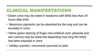 • Green urine may be noted in newborns with MAS less than 24
hours after birth.
• Meconium pigments can be absorbed by the lung and can be
excreted in urine.
• Yellow green staining of finger nail,umbilical cord, placenta and
skin (vernix) may be observed depending how long the infant
has been exposed in utero
• Initially cyanotic ( circumoral cyanosis) or pale
 
