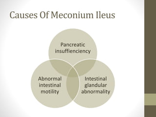 Causes Of Meconium Ileus
Pancreatic
insuffienciency
Intestinal
glandular
abnormality
Abnormal
intestinal
motility
 