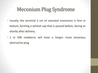 Meconium Plug Syndrome
• Usually, the terminal 2 cm of neonatal meconium is firm in
texture, forming a whitish cap that is passed before, during or
shortly after delivery.
• 1 in 500 newborns will have a longer, more tenacious
obstructive plug
 