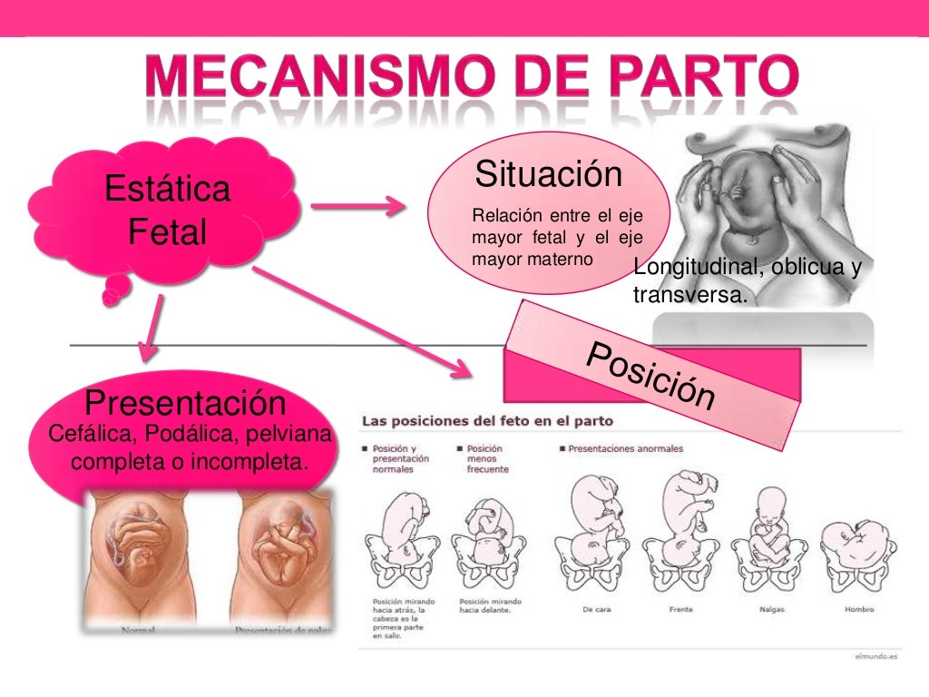 Mecanismos de parto